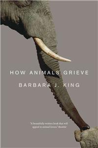 How Animals Grieve