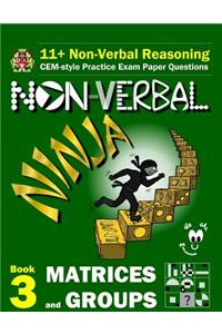 11+ Non Verbal Reasoning