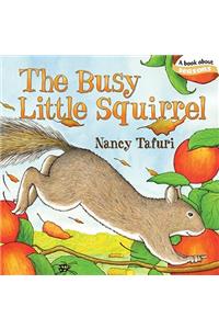 The Busy Little Squirrel