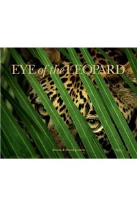 Eye of the Leopard