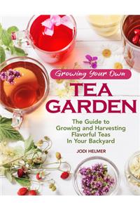 Growing Your Own Tea Garden