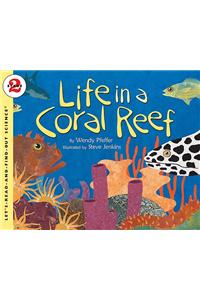 Life in a Coral Reef