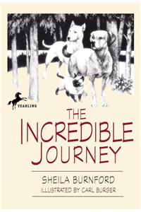 The Incredible Journey