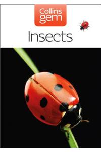 Insects