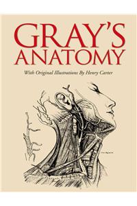 Gray's Anatomy