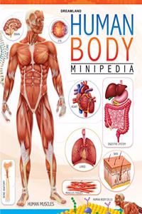 Human Body Minipedia