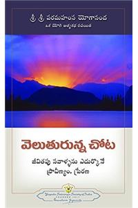 Where There is Light (Telugu)