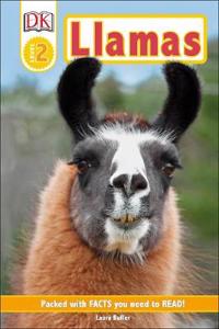 Llamas