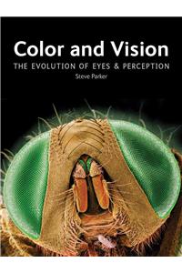 Color and Vision