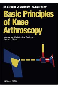 Basic Principles of Knee Arthroscopy