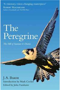 Peregrine