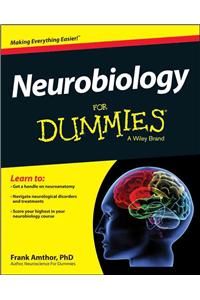 Neurobiology For Dummies