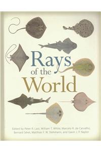 Rays of the World