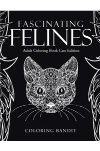 Fascinating Felines