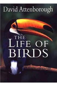 The Life of Birds