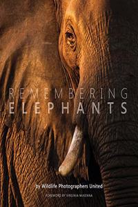 Remembering Elephants