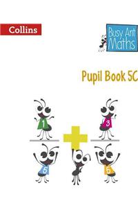 Busy Ant Maths -- Pupil Book 5c