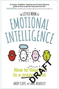 The Little Book of Emotional Intelligence