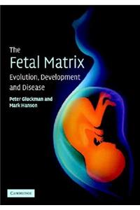 The Fetal Matrix: Evolution, Development and Disease