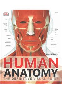 Human Anatomy