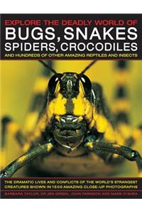 Explore the Deadly World of Bugs, Snakes, Spiders & Crocodiles