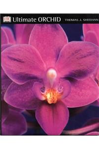 Ultimate Orchid