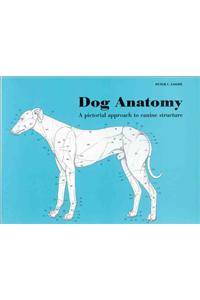 Dog Anatomy