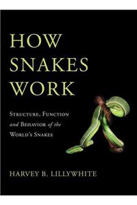 How Snakes Work