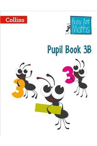 Pupil Book 3b