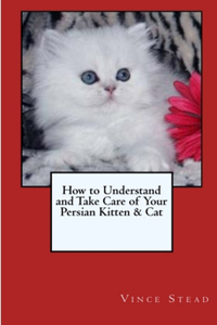 How to Understand and Take Care of Your Persian Kitten & Cat