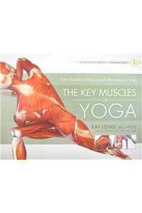 The Key Muscles of Yoga