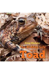 The Hidden Life of a Toad