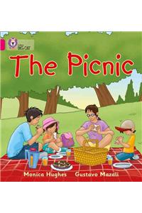 The Picnic