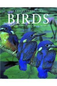 Encyclopedia of Birds