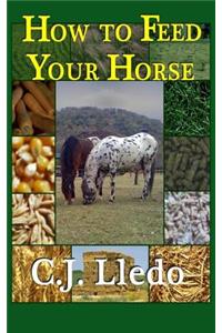 How To Feed Your Horse