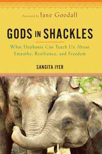 Gods in Shackles: What Elephants Can Teach Us About Empathy, Resilience, and Freedom