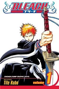 Bleach, Vol. 1, 1