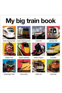 My Big Train Book