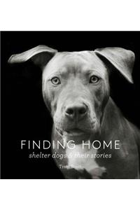 Finding Home: Shelter Dogs and Their Stories (a Photographic Tribute to Rescue Dogs)