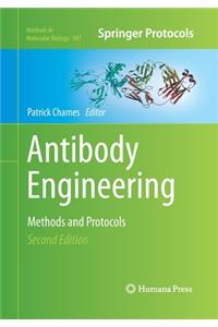 Antibody Engineering