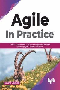 AGILE in Practice