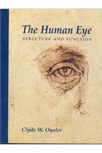 The Human Eye