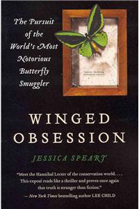 Winged Obsession