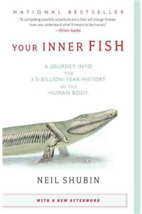 Your Inner Fish