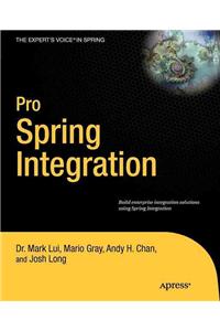 Pro Spring Integration