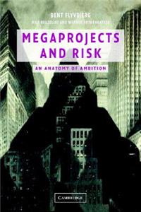 Megaprojects and Risk