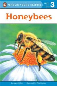 Honeybees