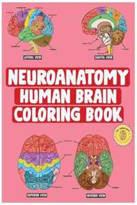 Neuroanatomy Human Brain Coloring Book