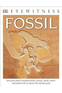 DK Eyewitness Books: Fossil