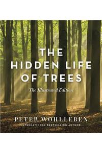 The Hidden Life of Trees